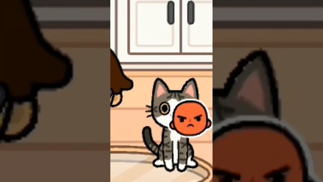 `•?_а какой вкус любите вы_?°~ #tocalife #tocalifeworld