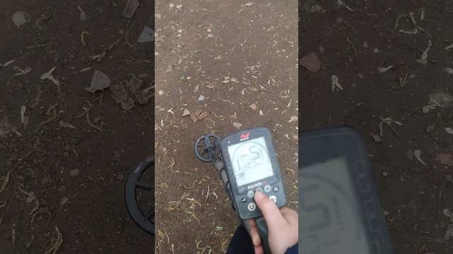 Настройки эквинокс800 на золото