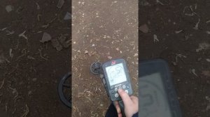 Настройки эквинокс800 на золото