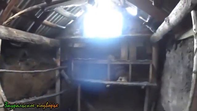 Бункерное (в землянке) содержание птицы и других домашних животных. смотреть онлайн