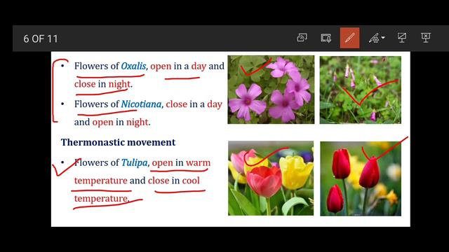 Nastic Plant Movements - Plant Science Forum смотреть онлайн