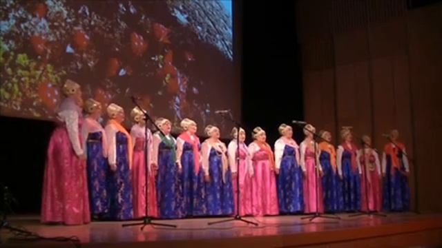 Заявка 1036/1. Народный самодеятельный коллектив ансамбль "Поморье" - "Не бела заря" смотреть онлайн