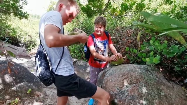 "КОКОС НА ОСТРОВЕ КЮРЬЁЗ - 1". СЕЙШЕЛЬСКИЕ ОСТРОВА. A COCONUT. SEYCHELLES смотреть онлайн