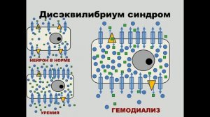 ЗПТ в нейрореанимации, цитратная антикоагуляция Полупан А.А.