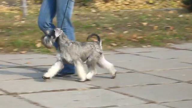 Amethyst 301011 034.avi смотреть онлайн