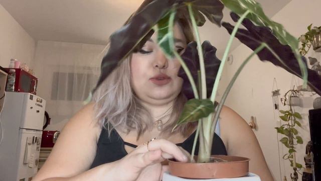 PLANT TOUR - Toute ma collection de plantes 🪴 смотреть онлайн