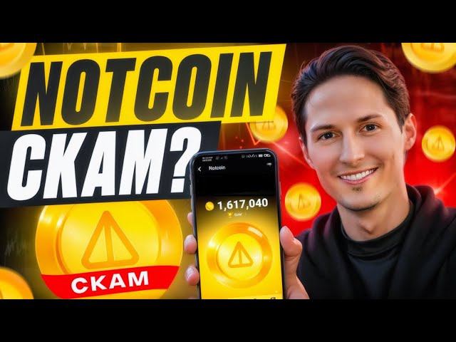 Notcoin - скам, или возможность заработать?