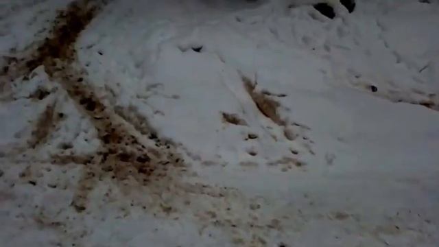 МЫ НЕ ПОБЕДИМЫ!!!г.ПЕРМЬ КИРОВСКИЙ РАЙОН УК ГАРАНТ смотреть онлайн