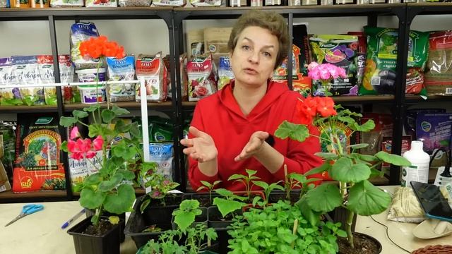 Как Сделать с Вдохновением и Умением