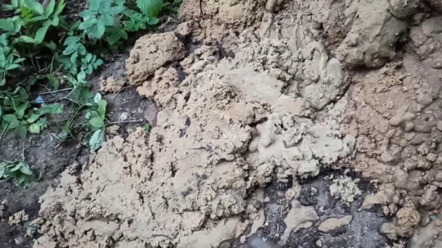 абиссинская скважина с отличным дебетом и чистой водой . дебет больше 1800л в час смотреть онлайн