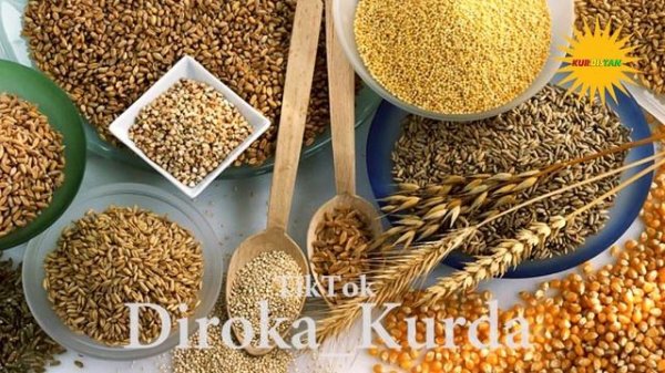 Навроз Курдский Новый Год !!!! История Национального Курдского Праздника Newroz !!!! Diroka_Kurda