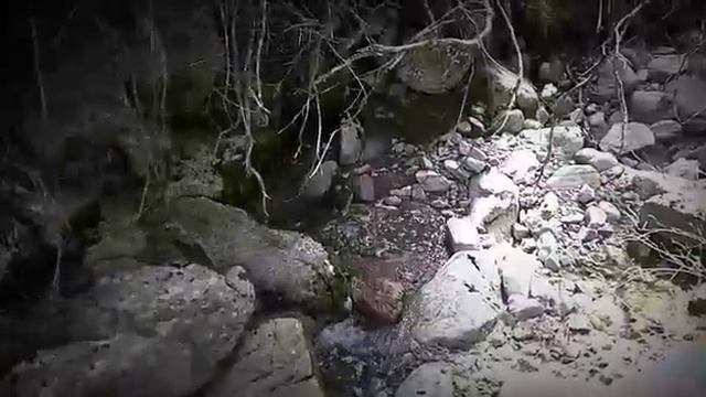 Как начинается жизнь реки смотреть онлайн