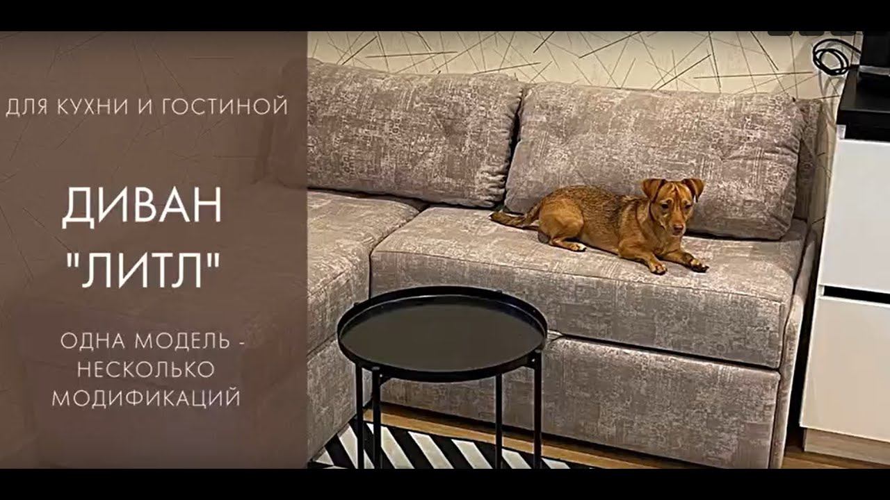Диван кровать на кухню "ЛИТЛ" : одна модель- несколько модификаций смотреть онлайн