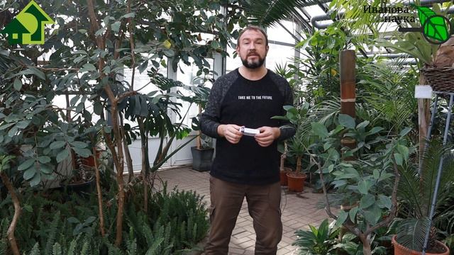 ВОЛШЕБНЫЕ ТАБЛЕТКИ! 5 ПРОСРОЧЕНННЫХ ЛЕКАРСТВ для рассады! Не выбрасывайте, а используйте НА УРОЖАЙ! смотреть онлайн