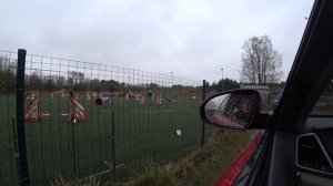 Как проходит день с бордер колли? |  Вторник