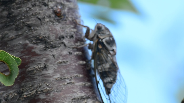 DSC_9128 смотреть онлайн