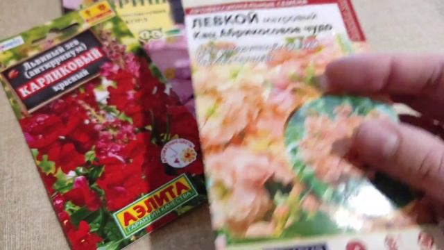 Подвожу итоги о всхожести семян цветов. смотреть онлайн