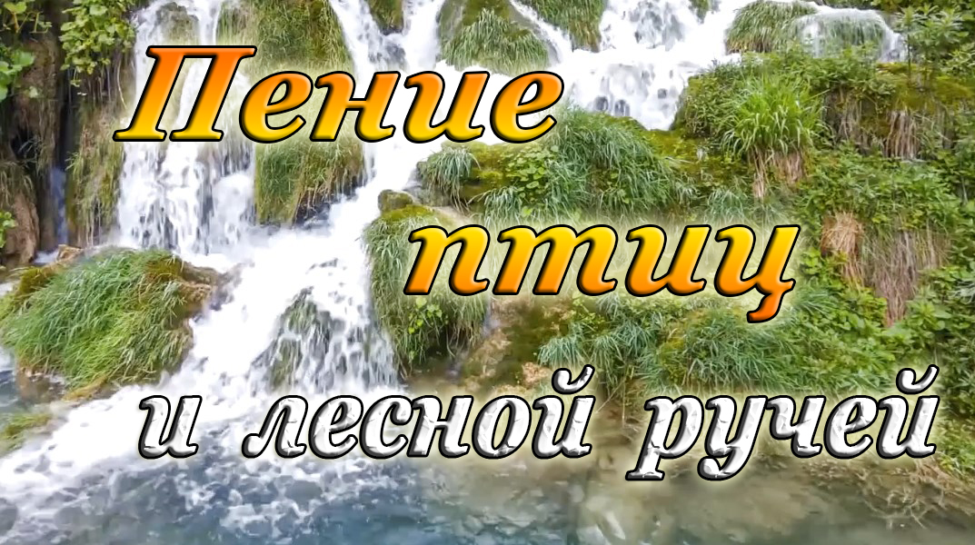 ПЕНИЕ ПТИЦ И ЛЕСНОЙ РУЧЕЙ смотреть онлайн
