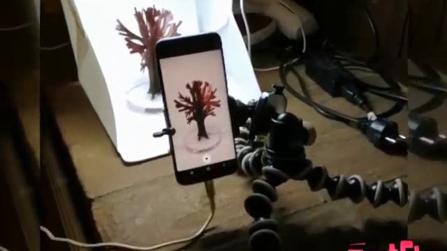 Magic Sakura Tree (Time-Lapse) смотреть онлайн