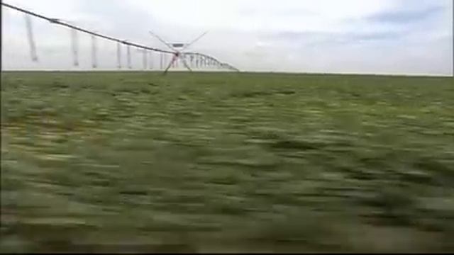 Meat the Truth Trailer смотреть онлайн