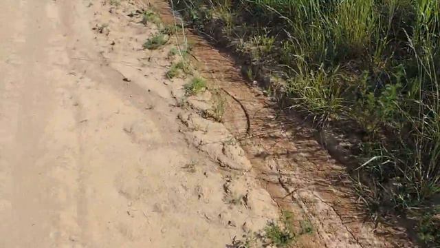 В поисках клада. Такого еще не кто не находил... смотреть онлайн