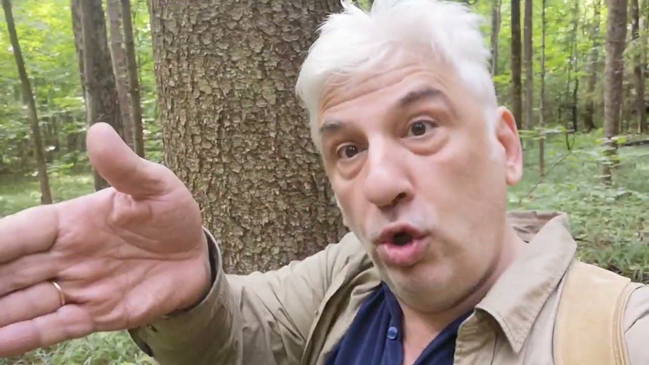 Чтобы петь, надо звать смотреть онлайн