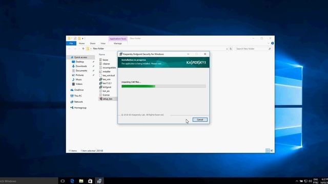 standard local installation of Kaspersky Endpoint Security 11 смотреть онлайн