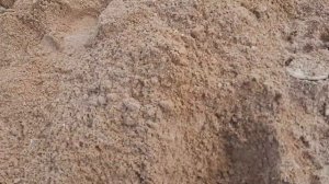 ПОИСК ЗОЛОТА НА ПЛЯЖЕ ЧЕРНОГО МОРЯ. Пляжный коп с металлоискателем Xp Deus. Коп в Крыму 2022