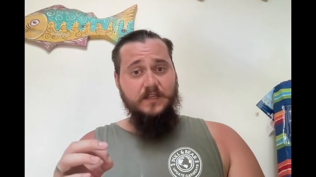 Я ПОЛУЧИЛ ВНЖ МЕКСИКИ ЗА 21 ДЕНЬ // КАК ПОЛУЧИТЬ ВИД НА ЖИТЕЛЬСТВО В МЕКСИКИ ЗА 21 ДЕНЬ: ч.1 смотреть онлайн