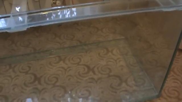 аквариум на 300 литров своими руками