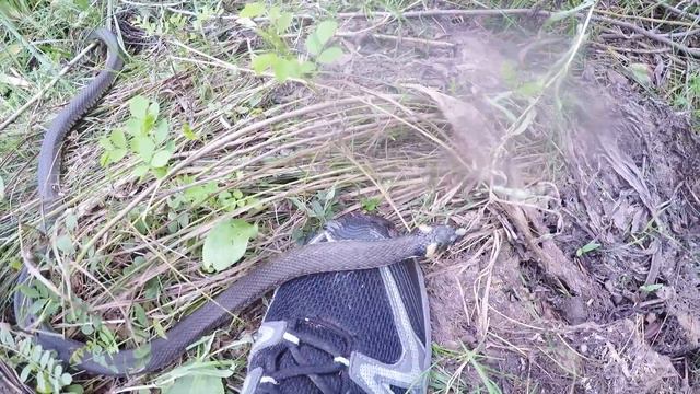 рибалка на р.Оріль смотреть онлайн