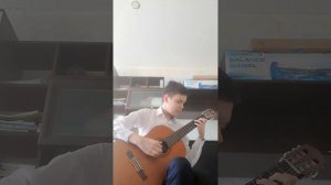 Шмель на гитаре