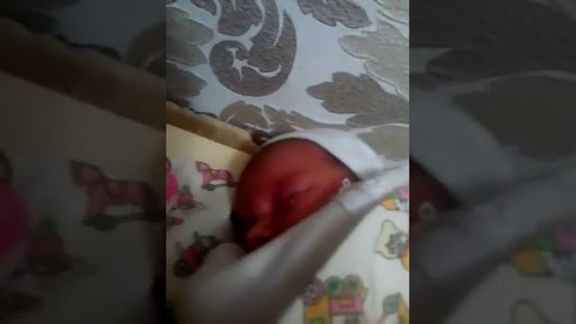 Я стал дядей смотреть онлайн