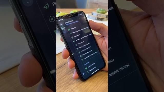 Возможности приложения Loxone #loxone #smarthome #умныйдом #knx #apple #smart #электрика #инженер смотреть онлайн