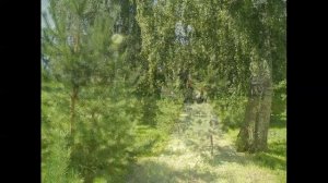 Санаторий Волга/г.Кострома