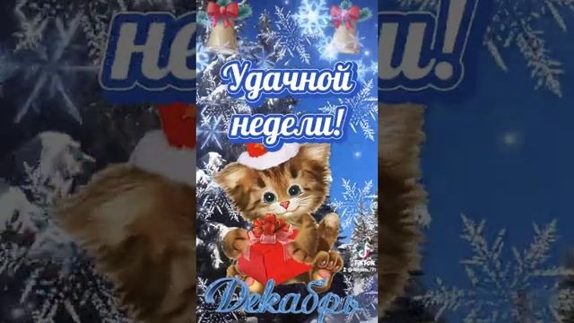 30 декабря 2022 г. смотреть онлайн