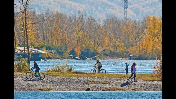 Золотая осень на Енисее | Golden autumn on the Yenisei river