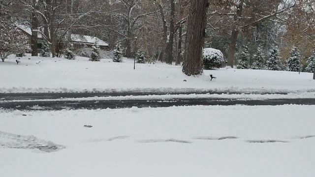 Trying out ratchet rake's snow edge. смотреть онлайн