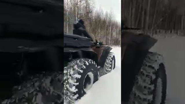 24 января 2022 г. смотреть онлайн