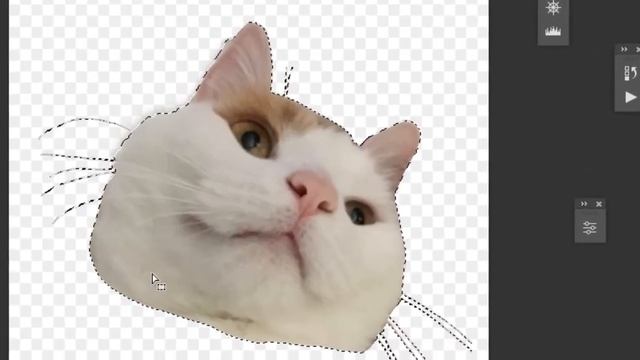 Transform fake PNG to real PNG with photoshop смотреть онлайн