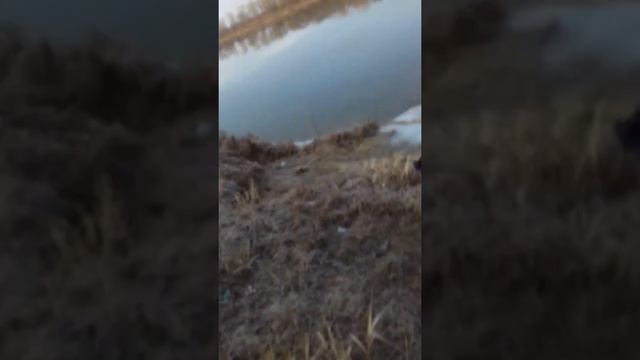 Рыбалка 26.12.2019часть1 смотреть онлайн