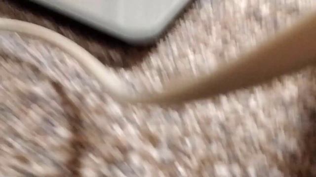 как легко нарисовать котенка смотреть онлайн