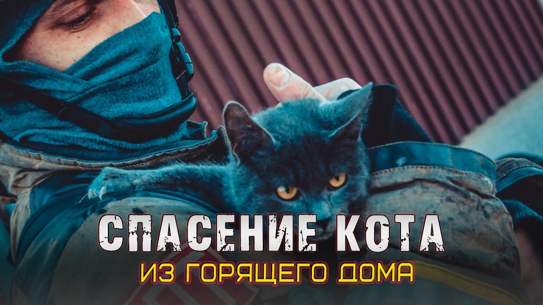 Спасение кота на пожаре смотреть онлайн