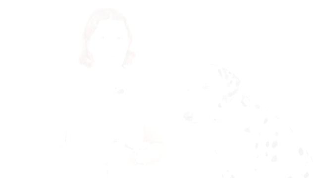 Выбор лучшего ошейника на каждый день | HAUL смотреть онлайн