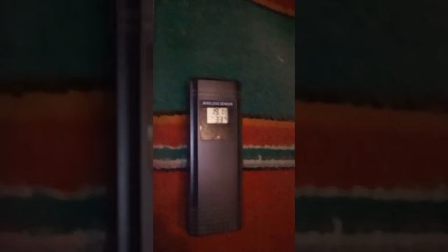 КАК ЗИМУЕТ КУРЦХААР смотреть онлайн