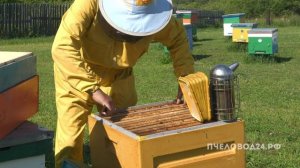 моя пасека в Сибири 2023год.