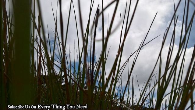 Horton Plains - Sri Lanka