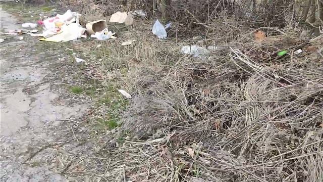 В Виннице окраина леса на Окружной превратилась в свалку мусора смотреть онлайн