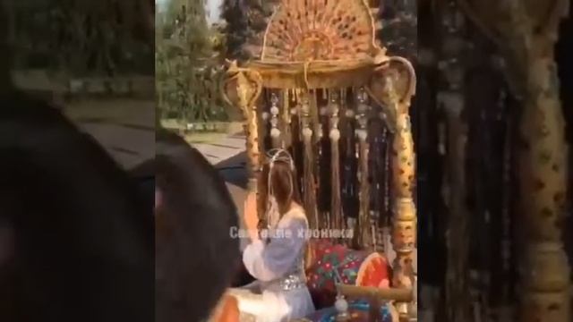 Собаки лают, караван идёт ? смотреть онлайн