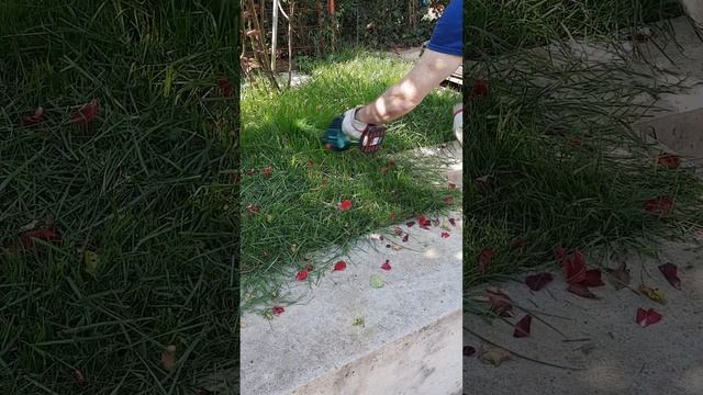 parkside aku škare PAGS 20-Li A1 2u 1 i ostale parkside za travu i grmove ili živicu #5 смотреть онлайн